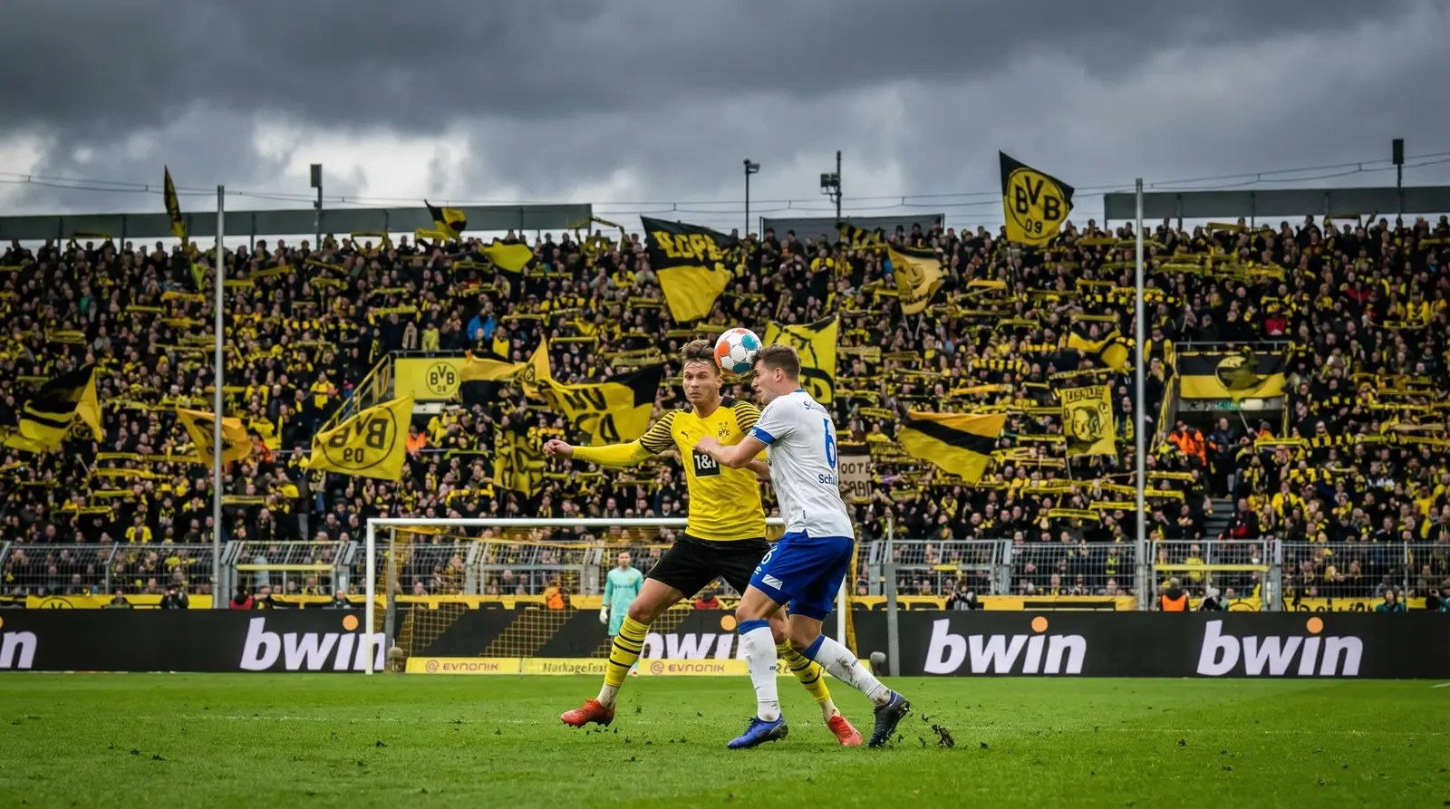 德甲联赛比赛现场球迷助威